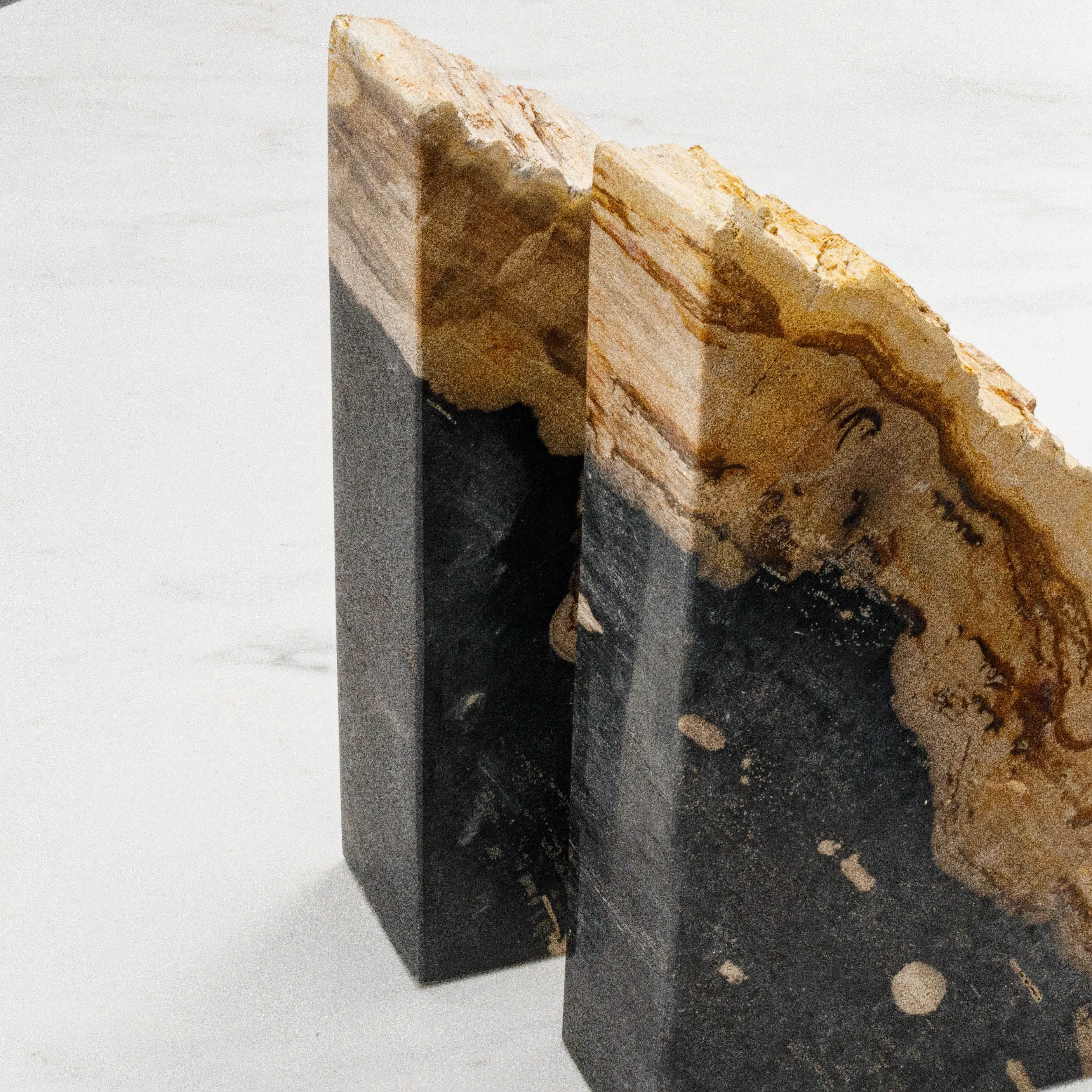 10" Black Petrified Wood Bookend Pair