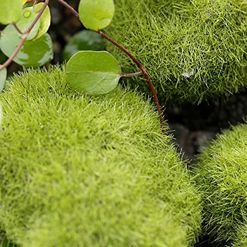 ATORSE® Landscape Green Foam Moss Stone Grass Fake Rocks Mini DIY Garden Supply