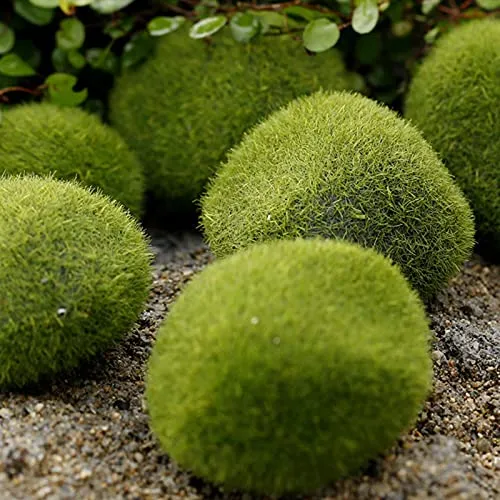 ATORSE® Landscape Green Foam Moss Stone Grass Fake Rocks Mini DIY Garden Supply