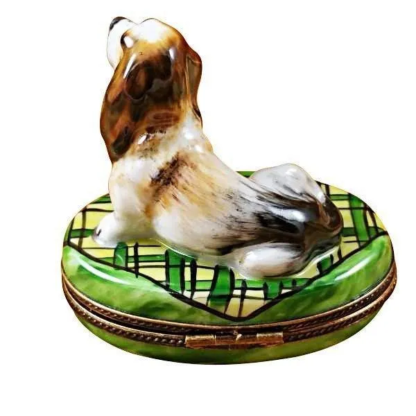 Basset Hound Dog limoges box