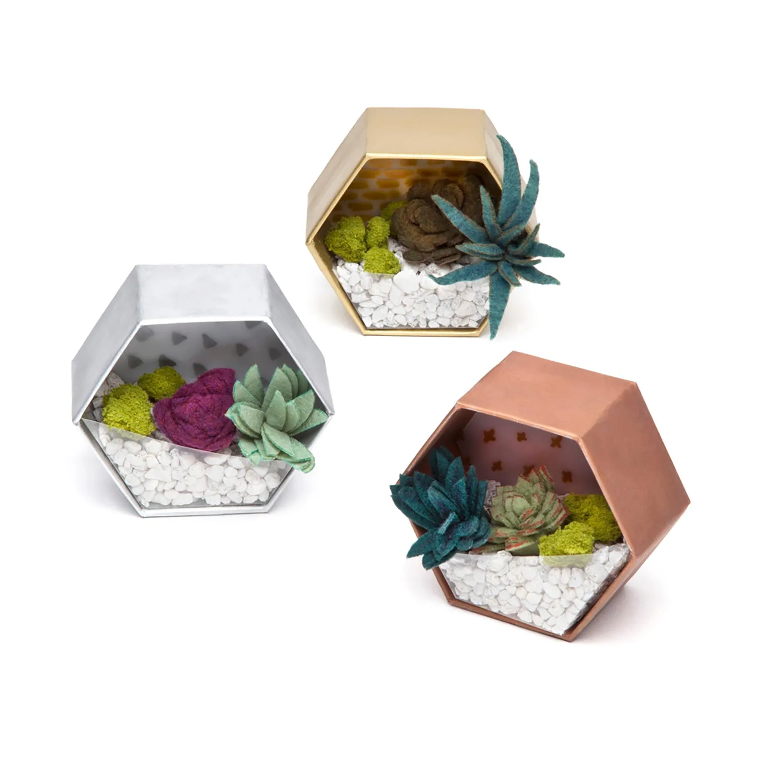 Craft Crush - Mini Terrariums Kit