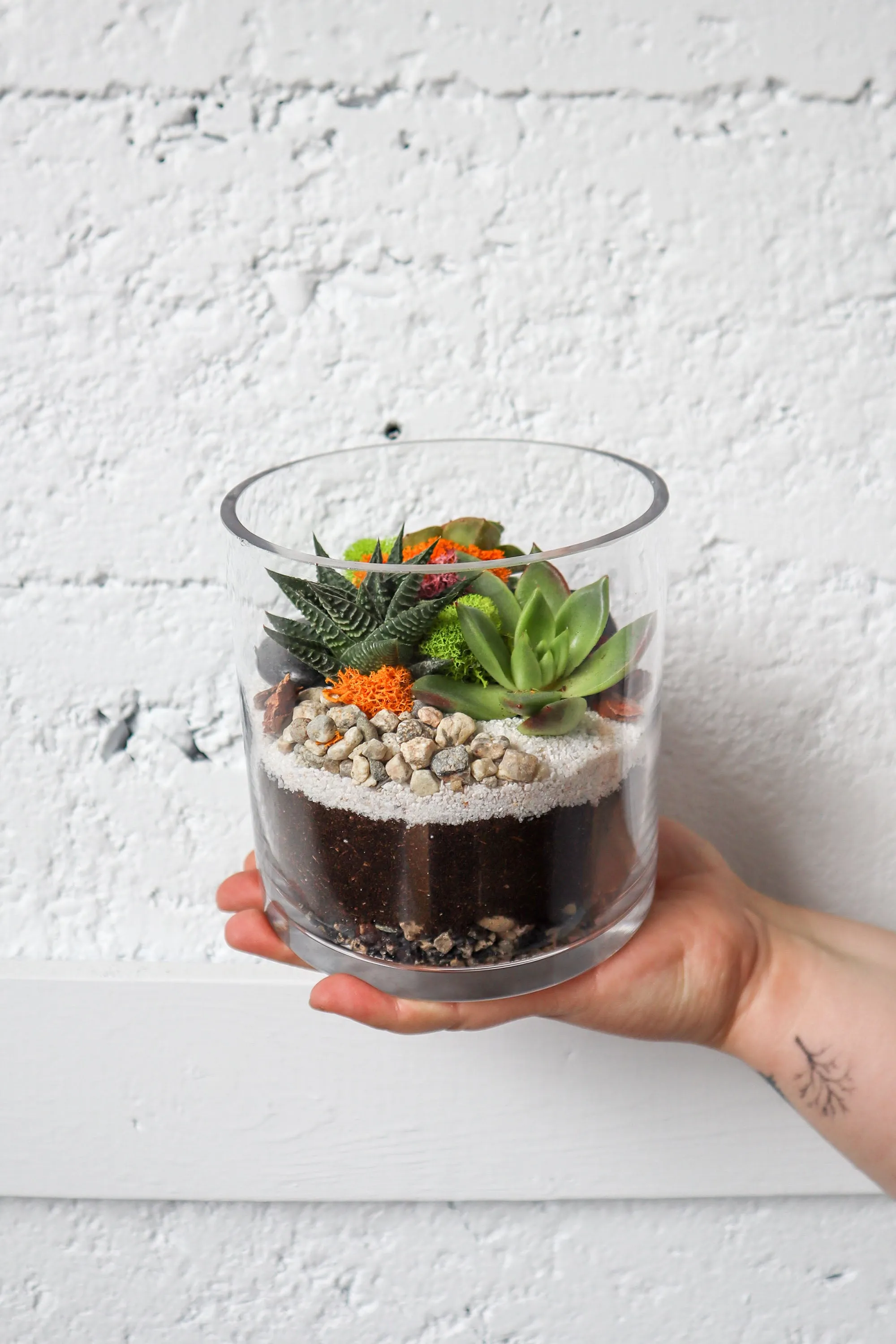 DIY Terrarium Workshop