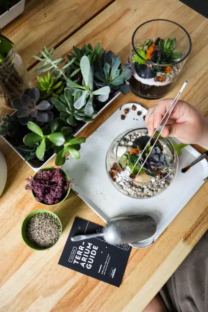 DIY Terrarium Workshop