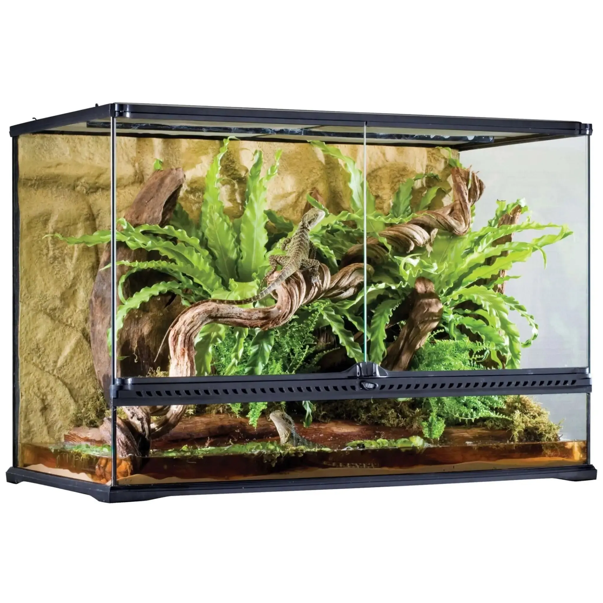 Exo Terra Glass Terrarium Large Tall - 90x45x60cm