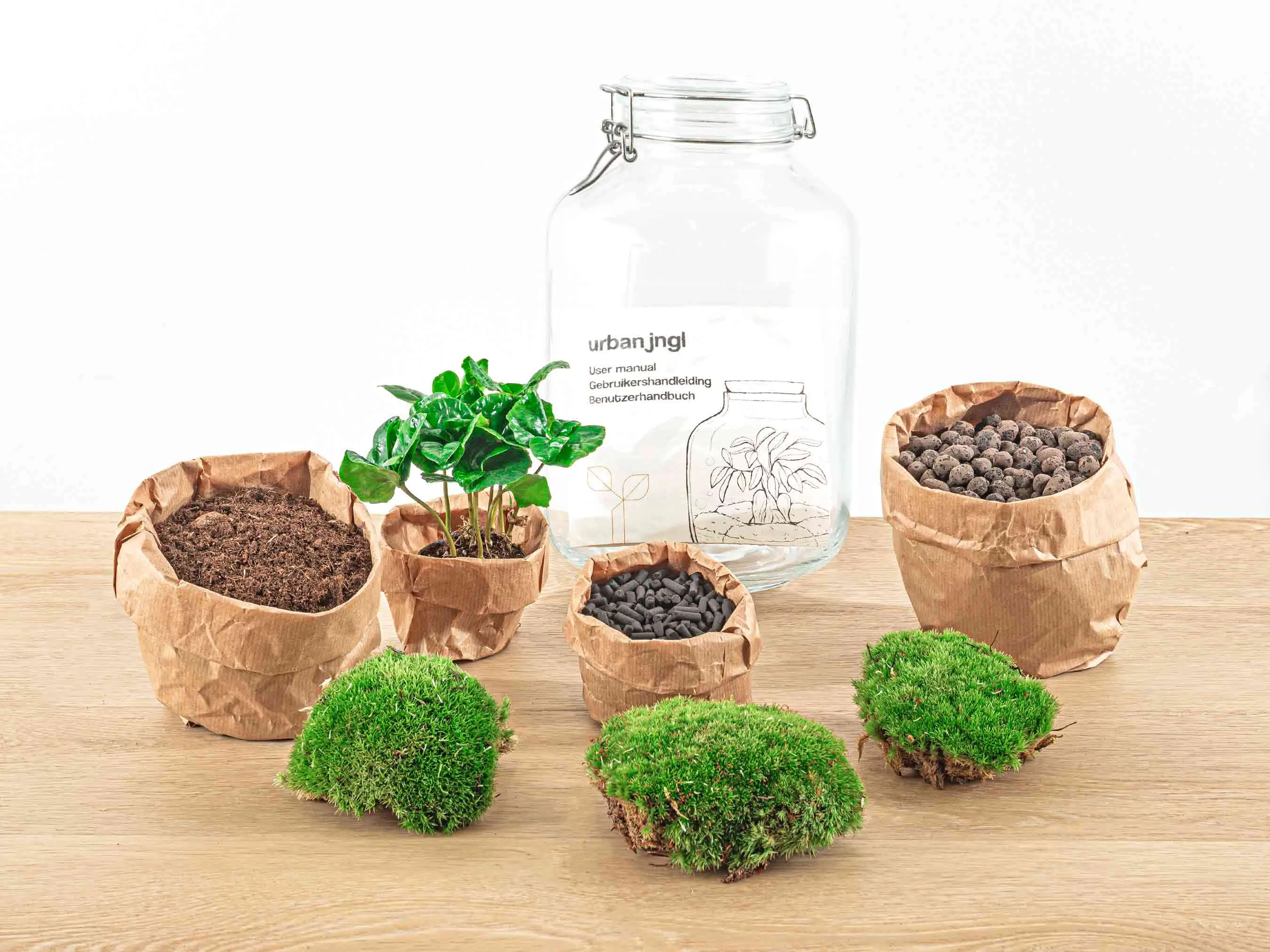 Jar Terrarium Kit - Bottle Garden - ↑ 28 cm