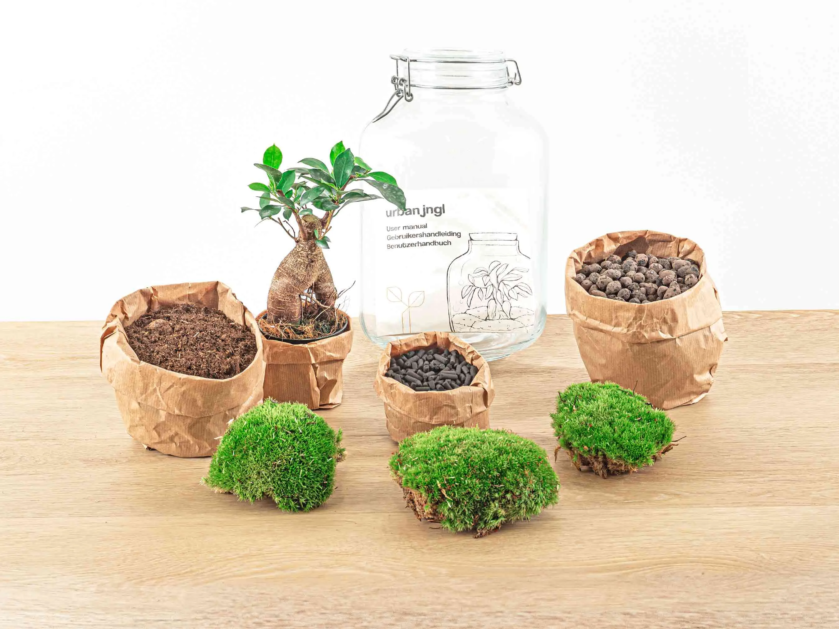 Jar Terrarium Kit - Bottle Garden - ↑ 28 cm