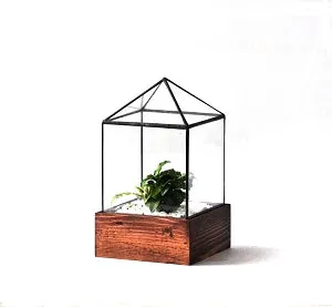 Little House Terrarium