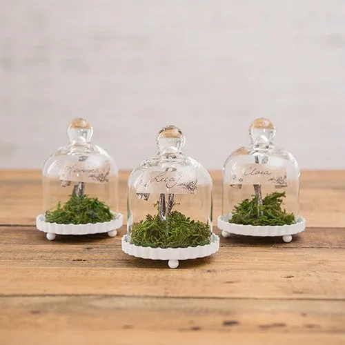 Miniature Bell Jar with Base and Lid Wedding Party Cupcake Favor (Set of 4)