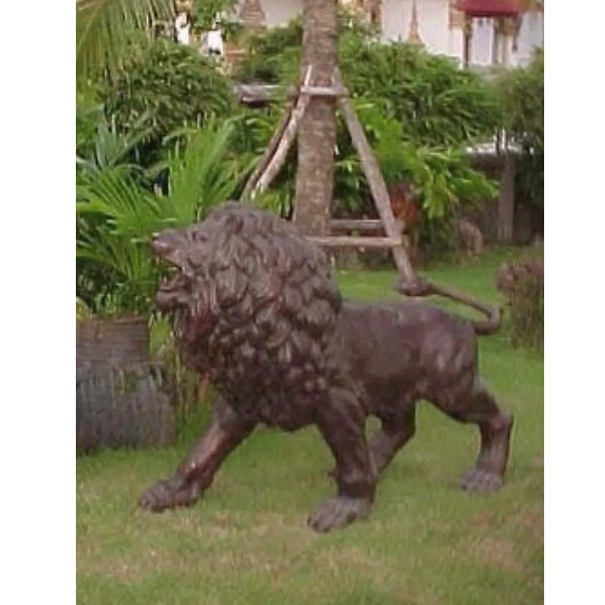 Pair of Roaring Lions Standing