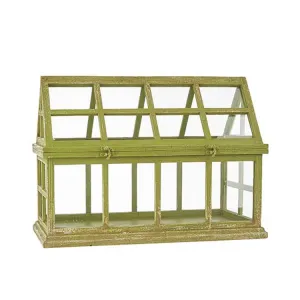 Raz Imports Boxwood 24" Distressed Green Terrarium