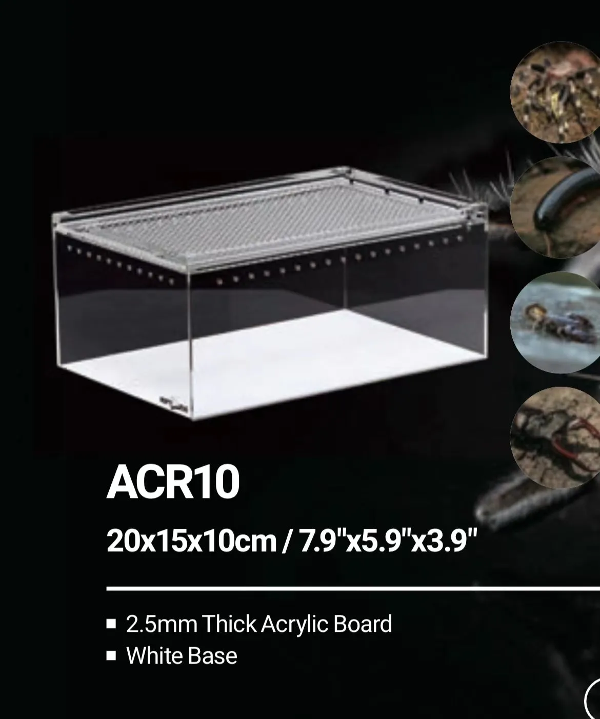 REPTIZOO Acrylic Breeding Enclosure ACR Series (Transparent)