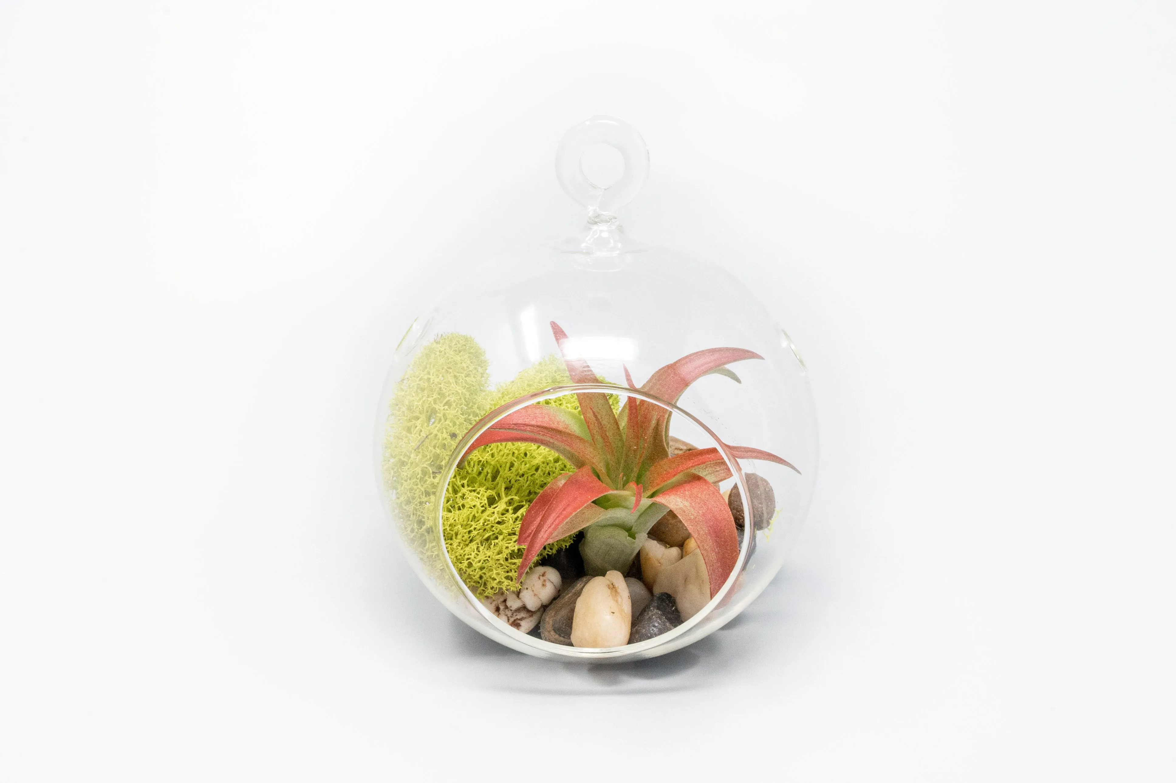 Set of 2 Stunning Hanging Glass Terrariums with Flat Bottoms