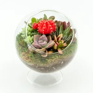 Succulent Terrarium with Stand - Medium