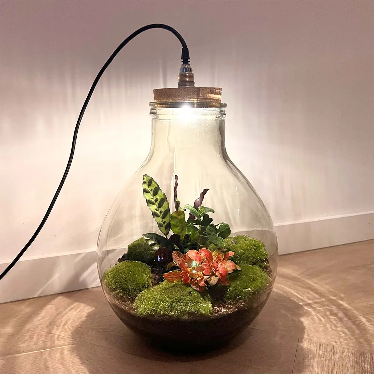 Terrarium DIY Kit - Big Paul Jungle - Bottle Garden - ↑ 39/46cm