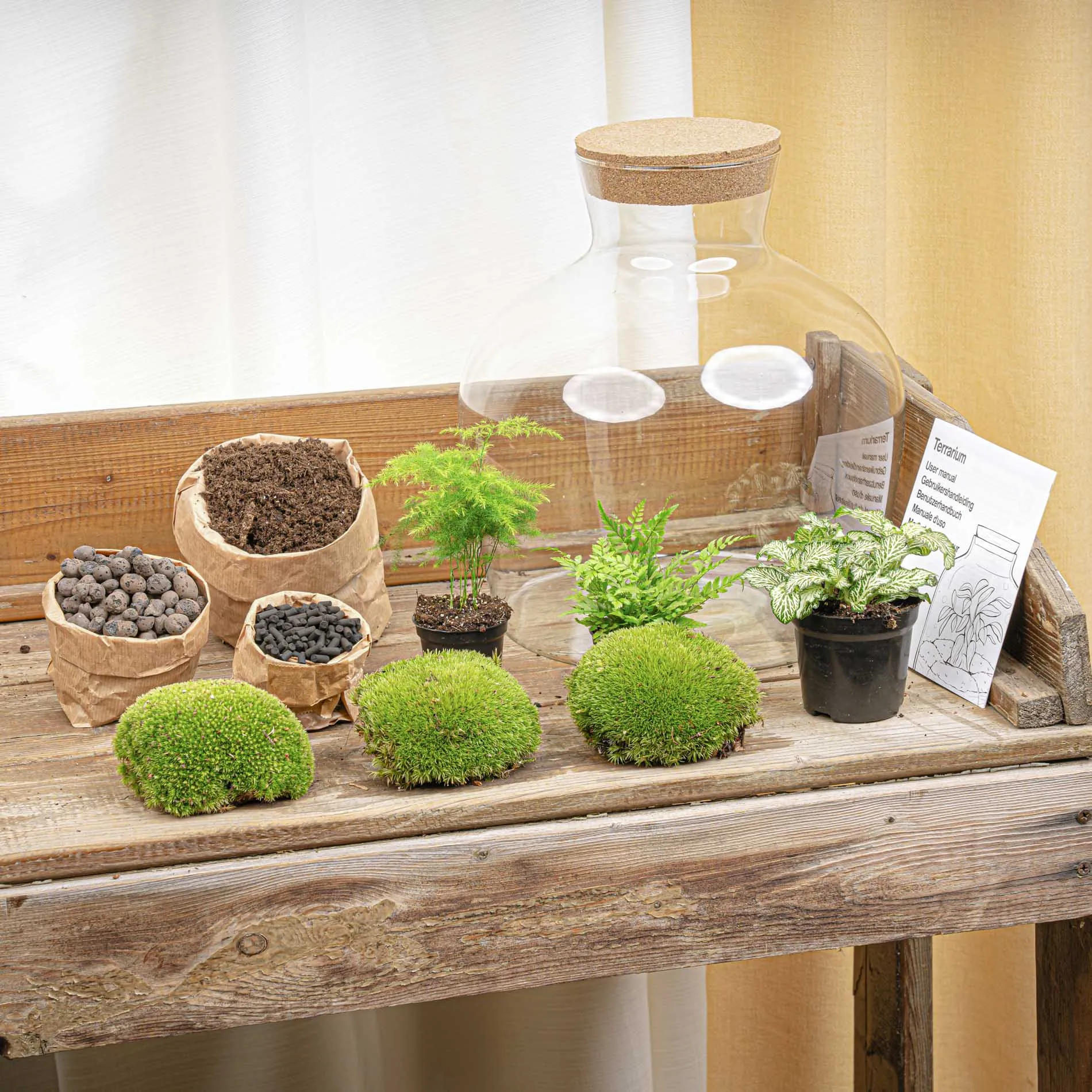 Terrarium DIY Kit - Fat Joe Green - Bottle Garden - ↑ 30 cm