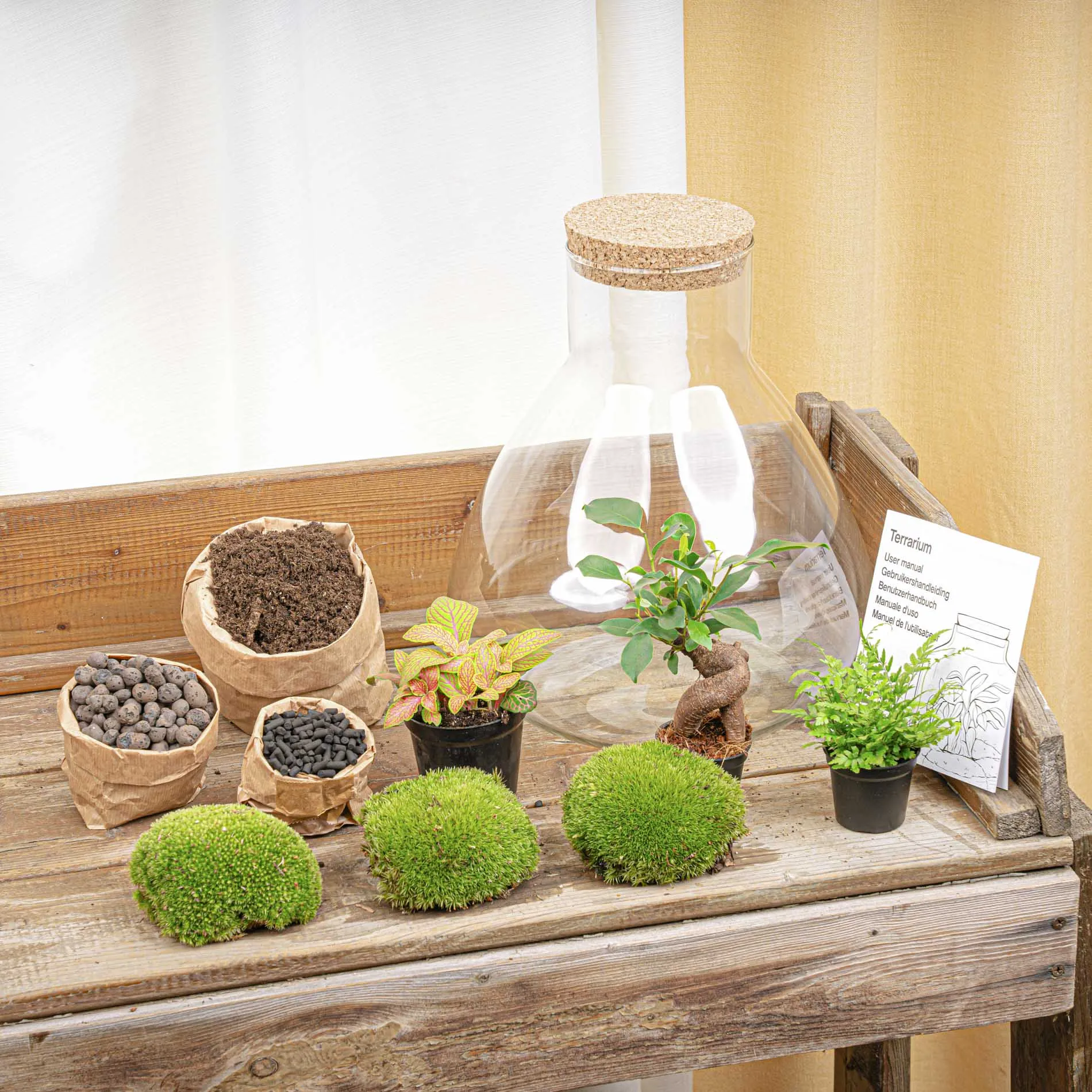 Terrarium DIY Kit - Sam XL Bonsai -  Fittonia - Fern -  Bottle Garden - ↑ 35 cm