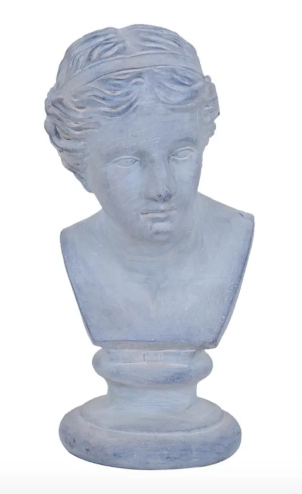 VENUS BUST