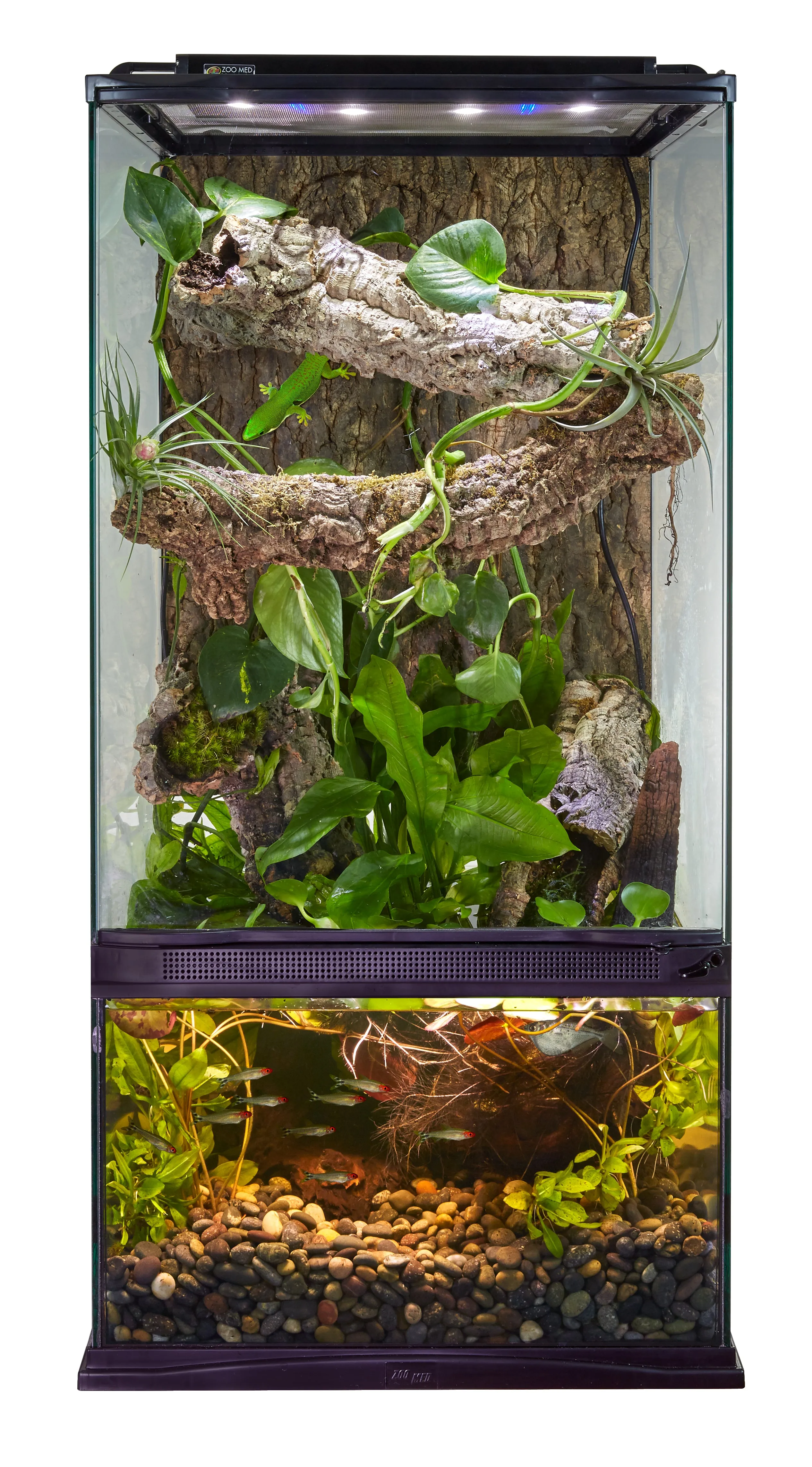 Zoo Med Paludarium